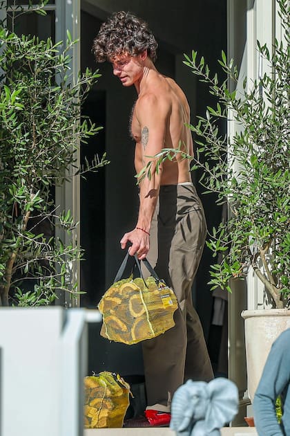 Shawn Mendes, relajado y sin camisa, disfruta de un momento discreto mientras recibe una entrega de leña cortada en su casa de Los Ángeles