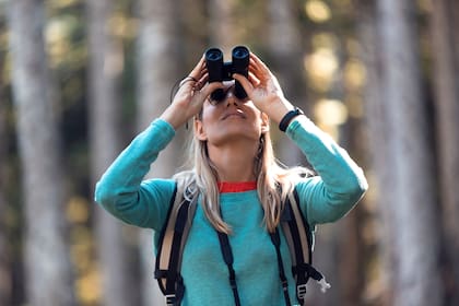 Shot of hiker young woman looking birds through binoculars telescope in forest.