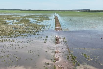 Si bien aún no hay dato puntual, los productores afirman que hubo impactos directos sobre la ganadería, los caminos rurales y otras producciones