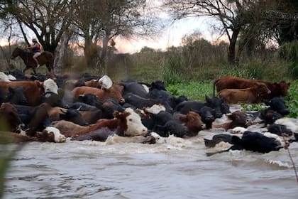 Si bien en las últimas horas el río Paraná frente al puerto de esta capital registró este lunes 3,70 metros, lo que significa que el nivel tiende a estacionarse, se destacó que el río San Javier, un brazo del Paraná en esa parte de la costa, trepó a 4,96 metros