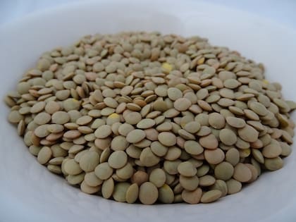 Si bien las lentejas son un plato para el invierno, muchos las disfrutan en ensaladas durante el verano (imagen ilustrativa)