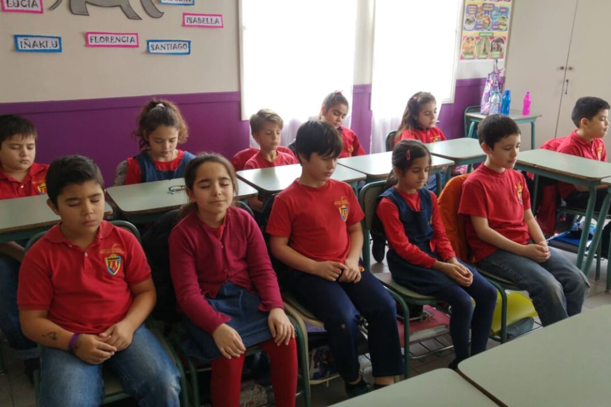 Si bien no deben sustituir ningún tratamiento, pueden ser útiles para reducir los niveles de estrés