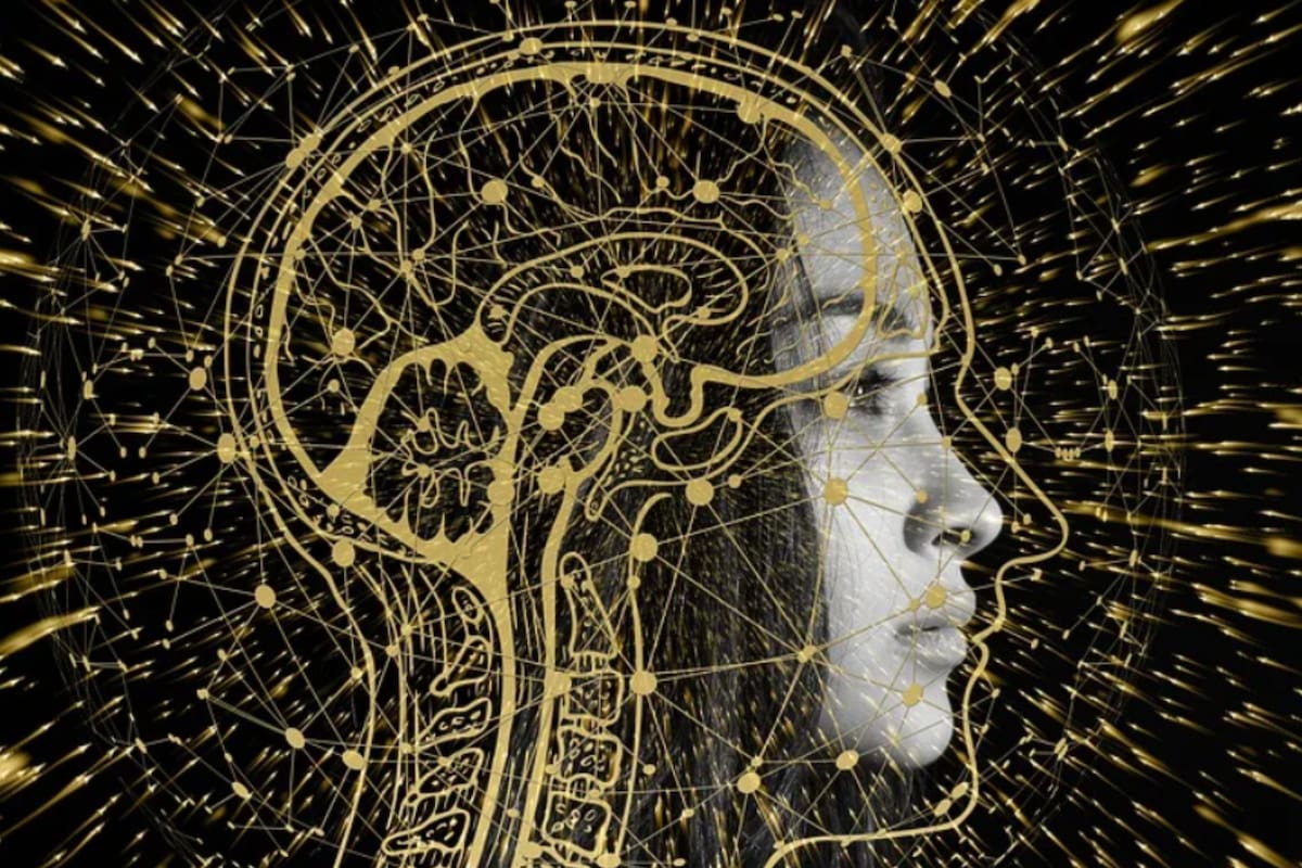 Si bien no tiene resultados concluyentes, el estudio buscaba comprobar que existen propiedades y conocimientos que solo pueden descubrirse a través de la experiencia consciente