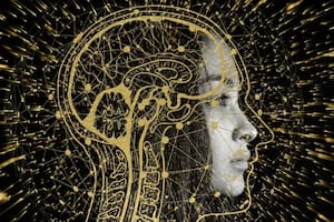 Si bien no tiene resultados concluyentes, el estudio buscaba comprobar que existen propiedades y conocimientos que solo pueden descubrirse a través de la experiencia consciente