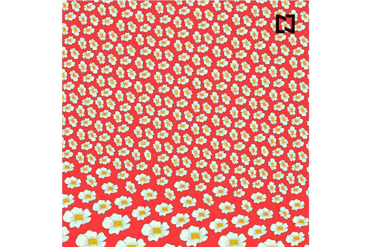 Si bien se parecen en el color y la forma, su forma redondeada los hace diferentes