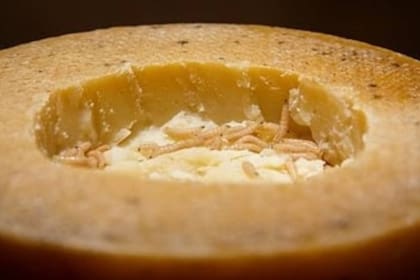 Si cuando se abre el queso, las larvas están muertas significa que está malo.