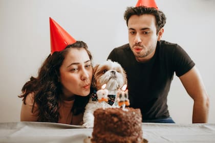 "Si el amor hacia los animales se vuelve patológico, no estamos hablando de ‘amor’, sino de otra cosa como, por ejemplo, de obsesión”, explicó una de las profesionales