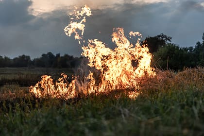 Si el fuego provoca un incendio, el responsable deberá cubrir los costos del operativo