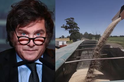 Si el gobierno de Javier Milei elimina el Impuesto PAIS, quita las retenciones y unifica el tipo de cambio podría haber más producción de trigo, según la Bolsa de Cereales de Buenos Aires