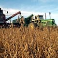 Se disparó el precio de la soja en el mercado internacional por un combo de factores gravitantes
