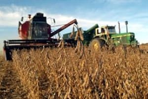 Se disparó el precio de la soja en el mercado internacional por un combo de factores gravitantes