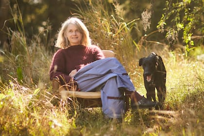 "Si hay algo con lo que no transé fue con la actuación y con la música", dice Juana Molina