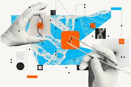 “Si hiciéramos una célula espejo, habríamos hecho un segundo árbol de la vida”, dice la bióloga Kate Adamala