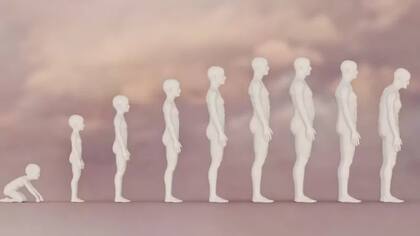 Si la edad biológica de una persona es igual o mayor que la cronológica, esto es una indicación de que se deben aumentar las medidas para revertir el envejecimiento