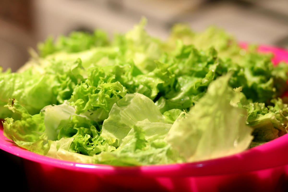 Si la lechuga no es conservada en buen estado puede ser un peligro para la salud al ser consumida (imagen ilustrativa)