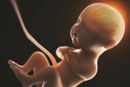 Si la madre está muy estresada, el cortisol que produce pasará al bebé a través de la placenta