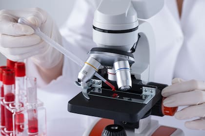 Si la sangre está oxidada, disminuye nuestra capacidad regenerativa