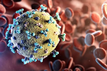 Si las evaluaciones que apuntan a un origen de laboratorio son correctas, el Covid-19 sería el accidente más destructivo en la historia de la ciencia