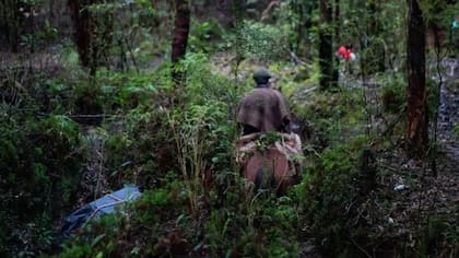 Si logran adquirir el terreno, las organizaciones ecologistas pretenden incluir a la comunidad local en la administración de la zona