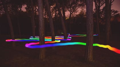Si los colores son propiedades de la luz, no de los objetos, y cuando los vemos en ellos es por obra de nuestra mente, ¿entonces?