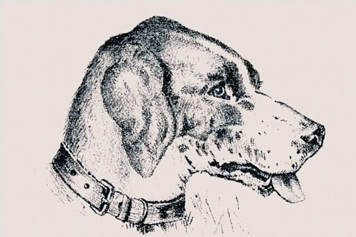 Si mirás con atención, podrás encontrarlo