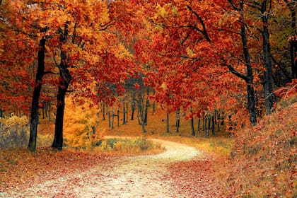 Si naciste en otoño, el cambio por lo nuevo, es algo que te define en tu constancia