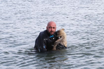 Si no lo rescataban a tiempo, el perro iba a morir de hipotermia en un lago de Turquía.