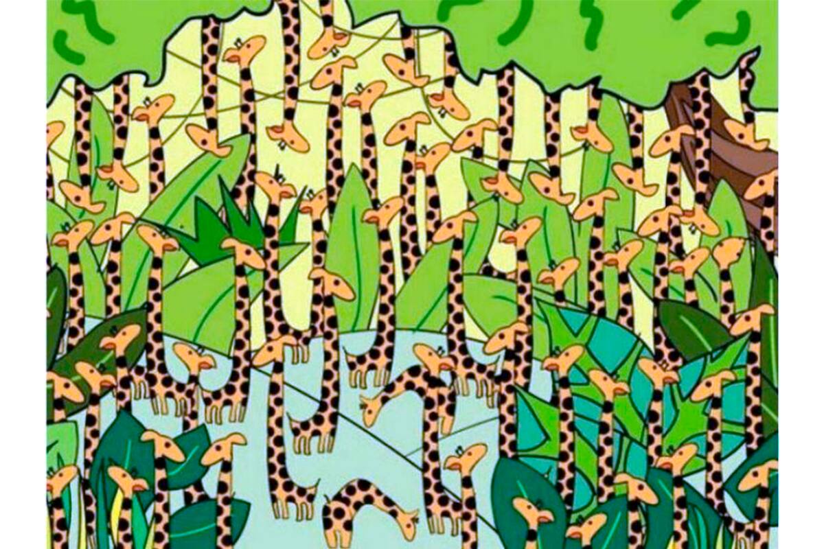 Si prestás atención, lo lograrás