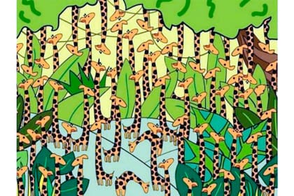 Si prestás atención, lo lograrás