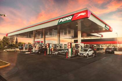 Si programaste tus vacaciones en la Costa Atlántica o la Patagonia, conocé el tip de la temporada para acceder a los precios más bajos en naftas.