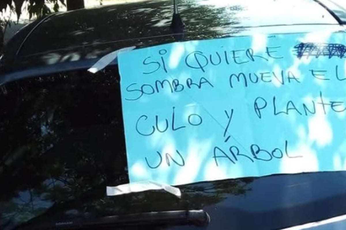 "Si quiere sombra, mueva el culo y plante un árbol", propone el cartel que un vecino le dejó a un conductor que estacionó mal el auto en González Catán