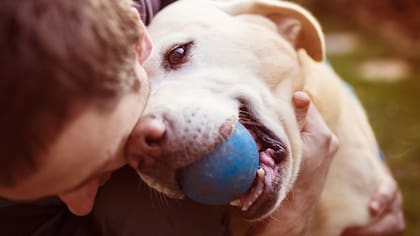 Si tu perro te sigue por todos lados y te observa todo el tiempo, podría estar sufriendo hiperapego