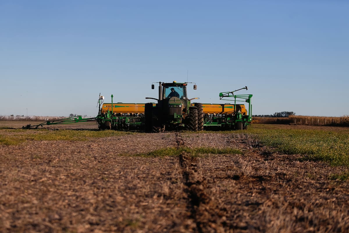 Siembra de trigo