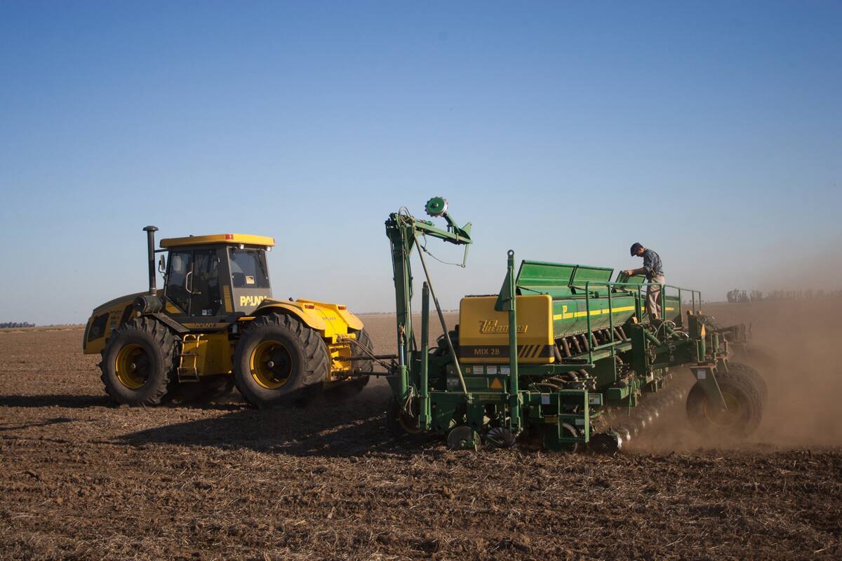 Siembra de maiz Dekalb 72-10-VT-3P en la Estancia San Carlos de la firma SARAEAL S.A. a 12 km de Bengolea, Cordoba. LA NACION / Diego