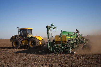 Siembra de maiz Dekalb 72-10-VT-3P en la Estancia San Carlos de la firma SARAEAL S.A. a 12 km de Bengolea, Cordoba. LA NACION / Diego