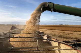 Siembra de soja en Brasil está a punto de terminar, dice Patria Agronegocios