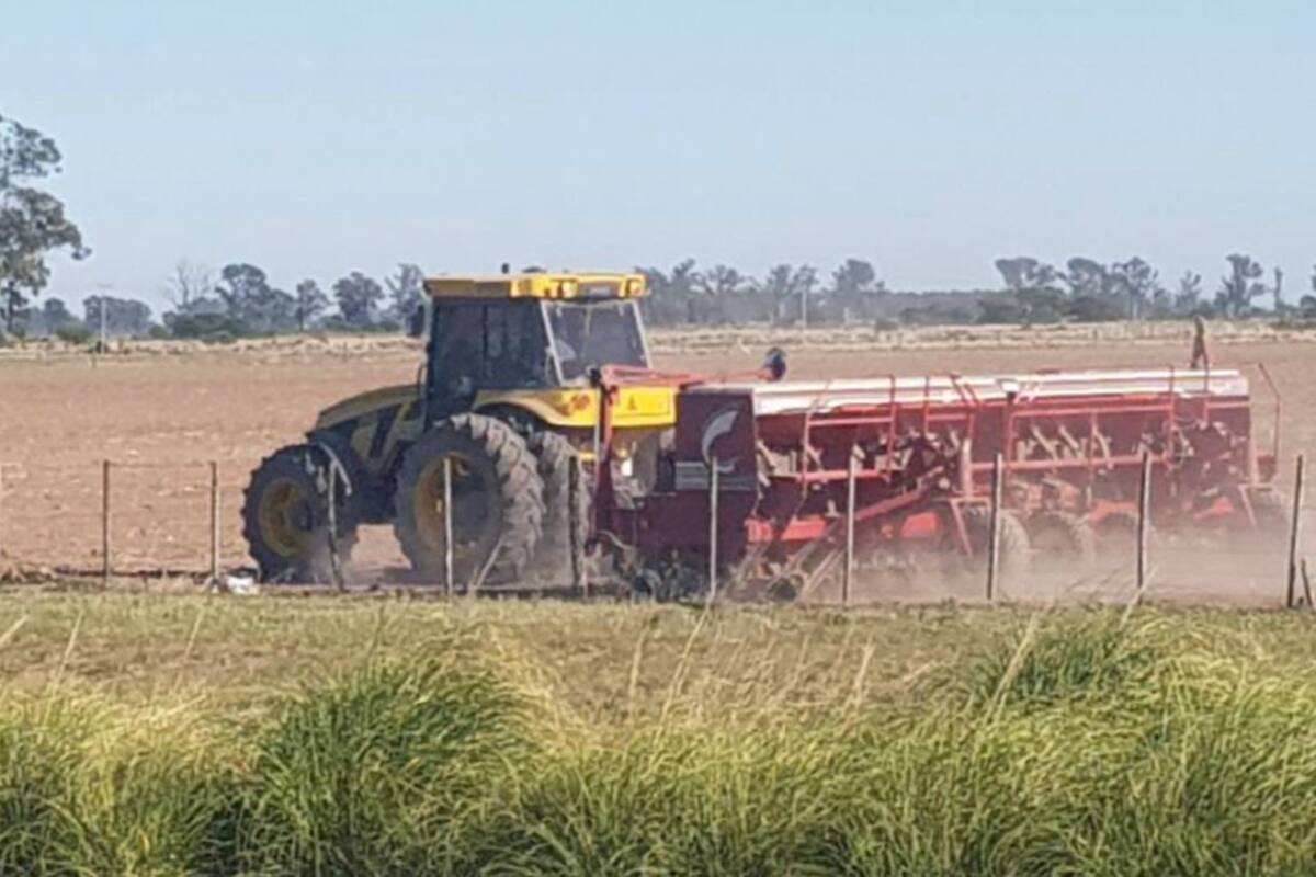 Siembra de soja en el sudeste del departamento Castellanos