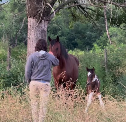 Siempre supe dónde quería estar y es dónde estoy ahora: en el campo, domando caballos", detalla Scarpati