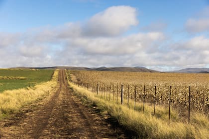 Sierra de la Ventana es zona de cultivos.