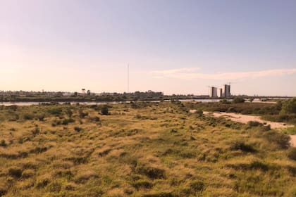 Paisaje santiagueño a la hora de la siesta