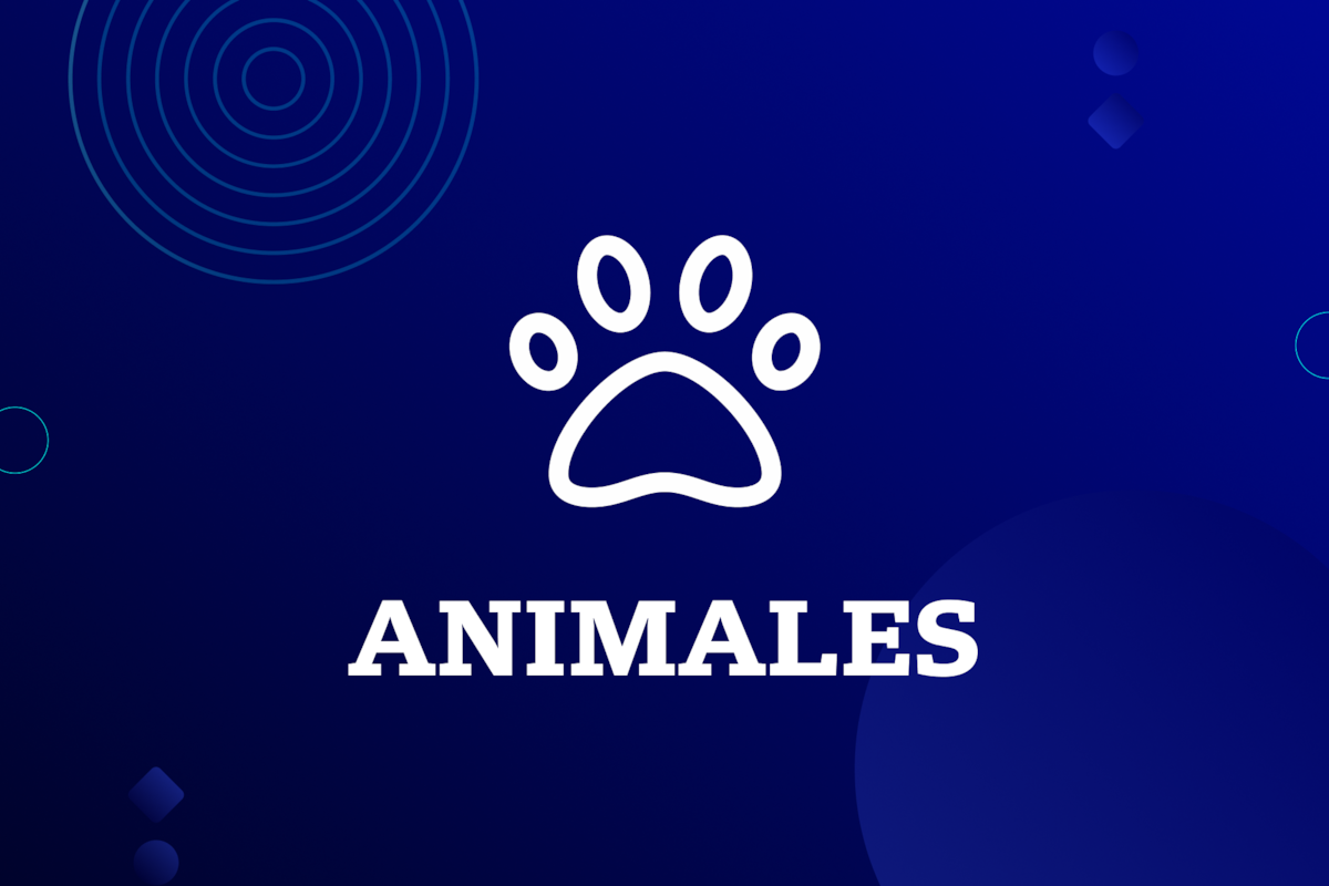 Significado de sueños según los animales y números para loterías y quinielas