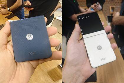 Silicona azul o acetato blanco, las opciones para el Razr 60 que llega a la Argentina