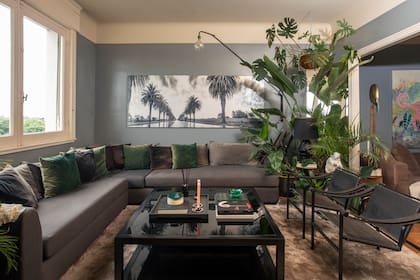 Sillón en L de pana, con almohadones a tono con el entorno verde y gris (todo de Sixta). La obra fotográfica es de José Pereyra Lucena. En el rincón vegetal, lámpara con base de cerámica (Sixta) rodeada por alocasias, monsteras y palmeras.
