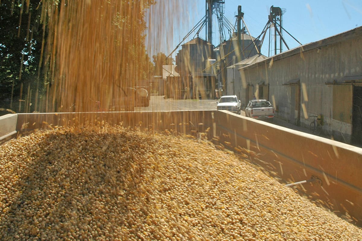 silo bolsa soja campo producción plantación cosecha almacenamiento