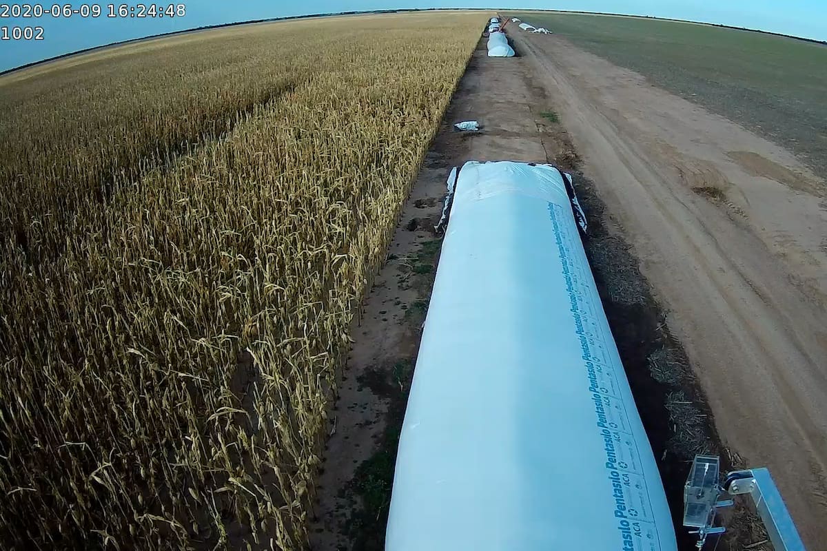 Silobolsa en el campo