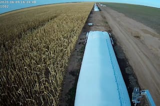 Kahneman se sube al tractor: retenciones, sesgos cognitivos y desencanto en el campo