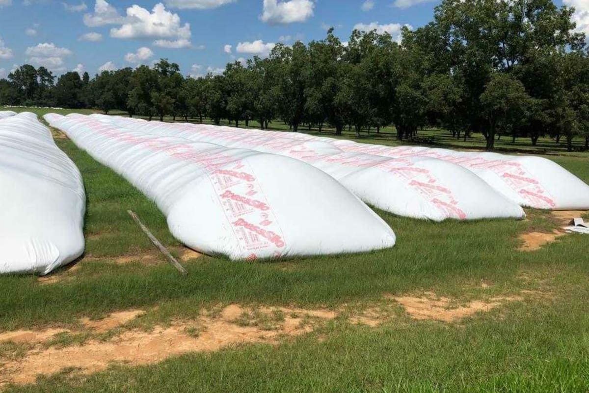 Silobolsas de Ipesa en Georgia, EE.UU.