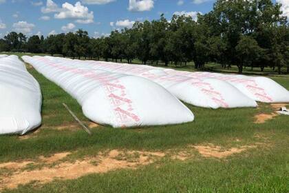 Silobolsas de Ipesa en Georgia, EE.UU.