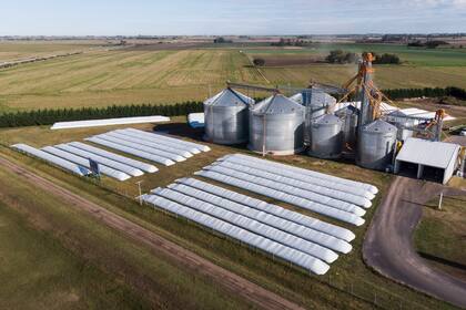 Silos para almacenar cereal
30-04-20
Foto: Marcelo Manera