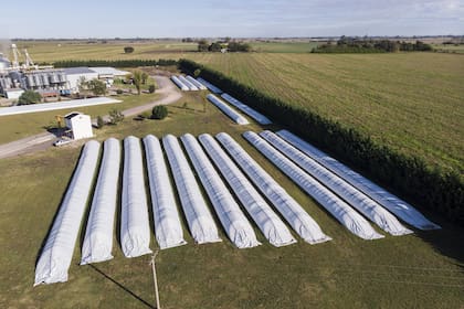 Silos para almacenar cereal
30-04-20
Foto: Marcelo Manera